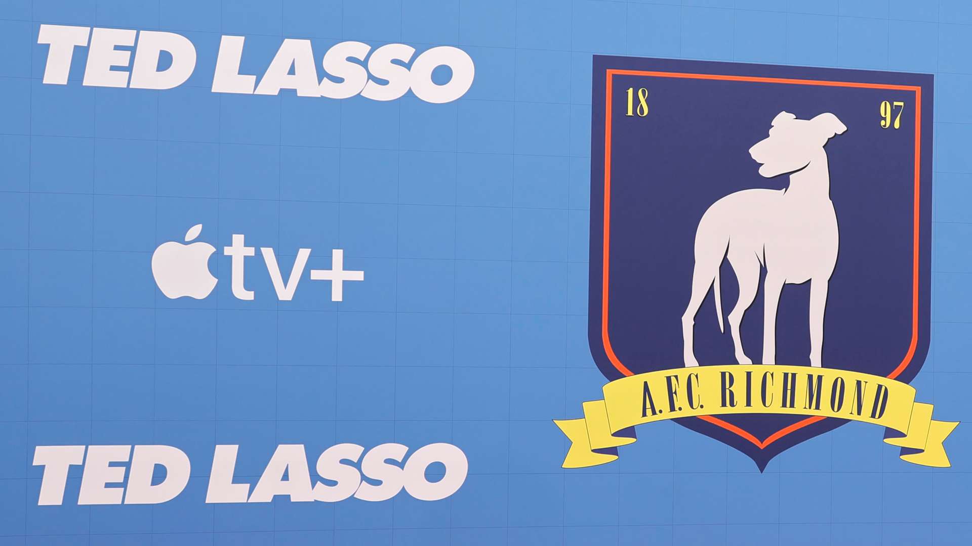 薪资结构的 薪资结构的